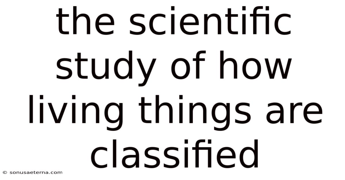 The Scientific Study Of How Living Things Are Classified