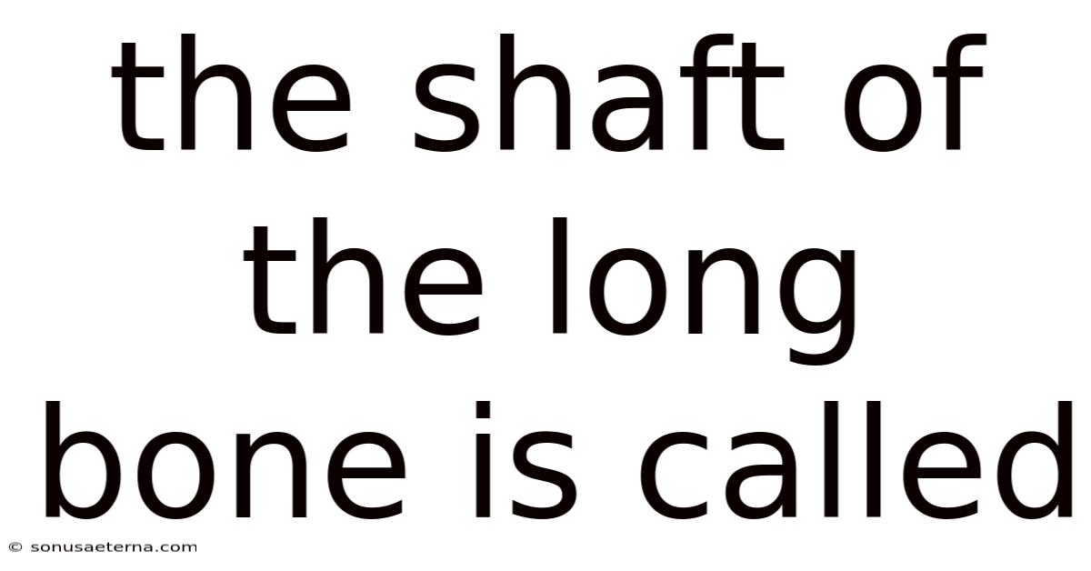 The Shaft Of The Long Bone Is Called