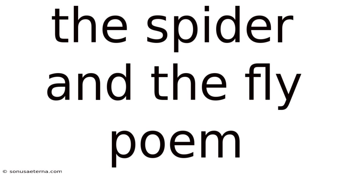 The Spider And The Fly Poem