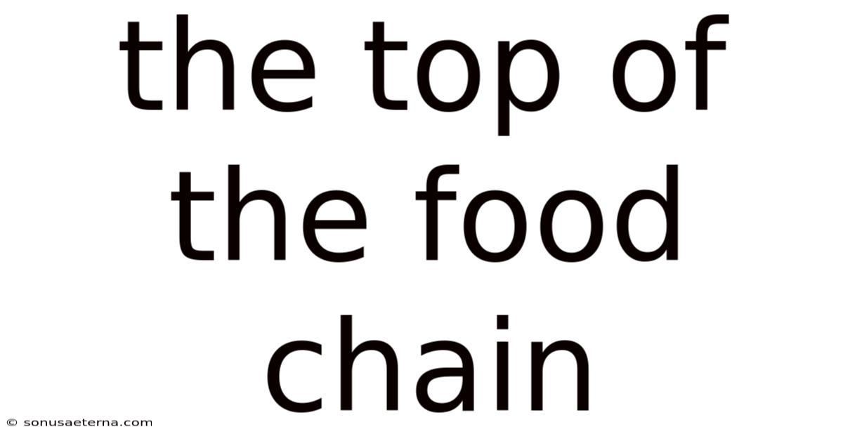 The Top Of The Food Chain