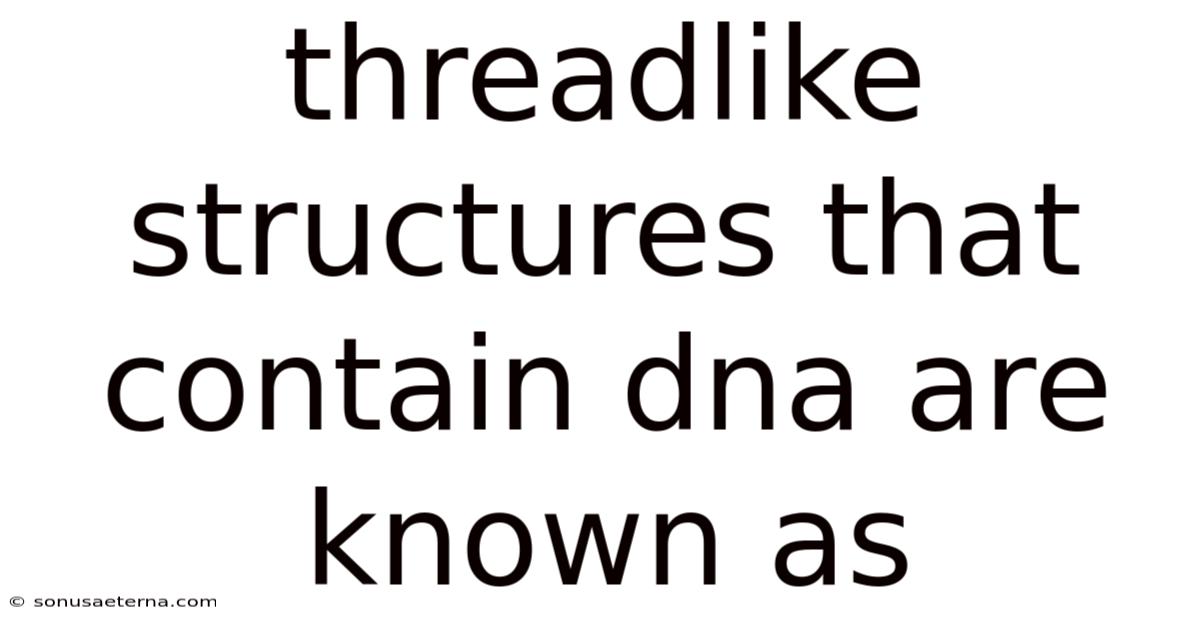 Threadlike Structures That Contain Dna Are Known As