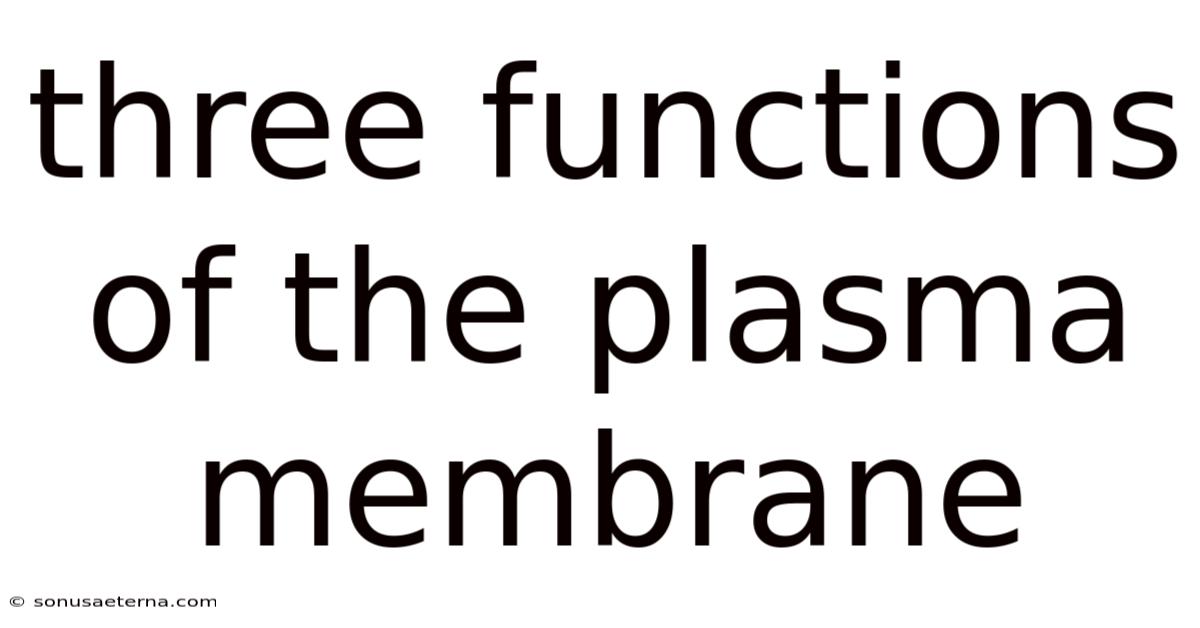 Three Functions Of The Plasma Membrane