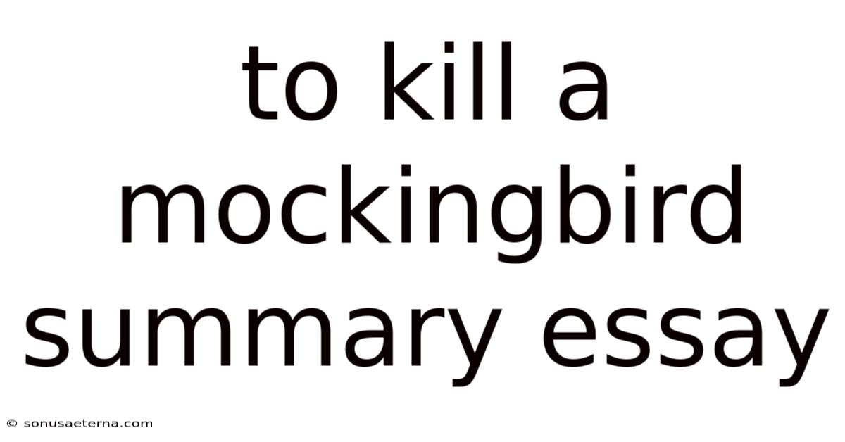 To Kill A Mockingbird Summary Essay