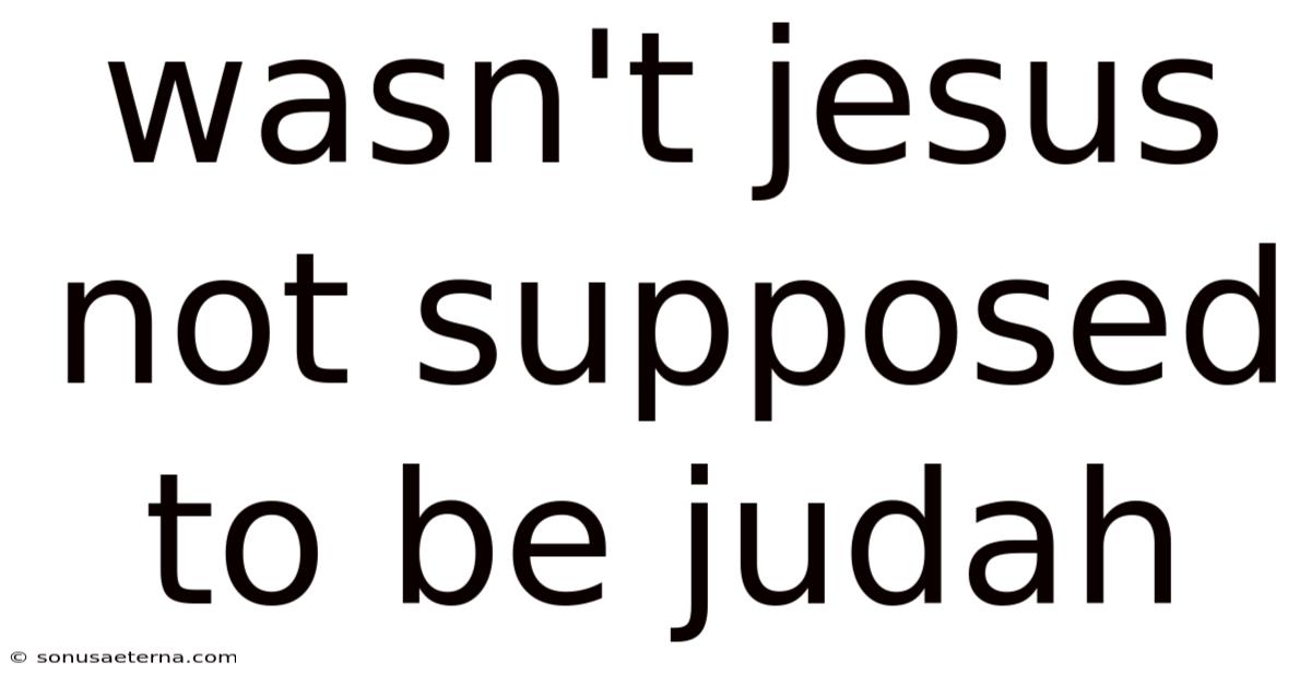 Wasn't Jesus Not Supposed To Be Judah