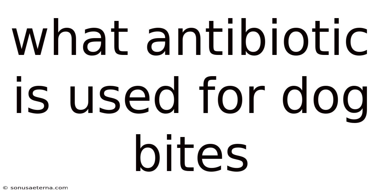 What Antibiotic Is Used For Dog Bites