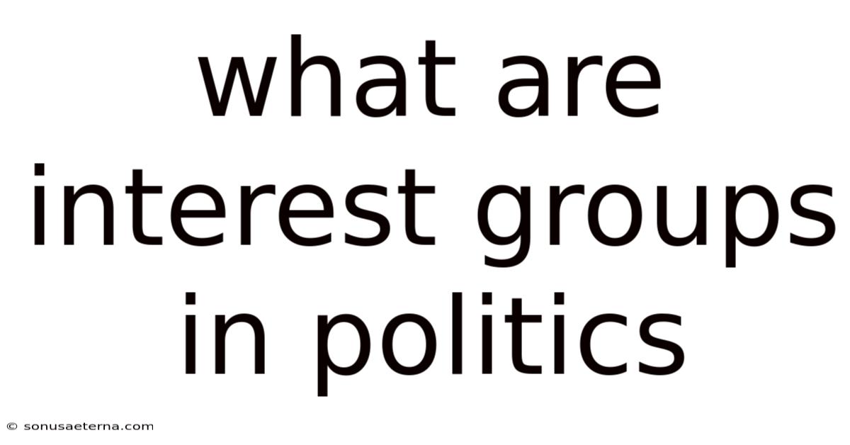 What Are Interest Groups In Politics