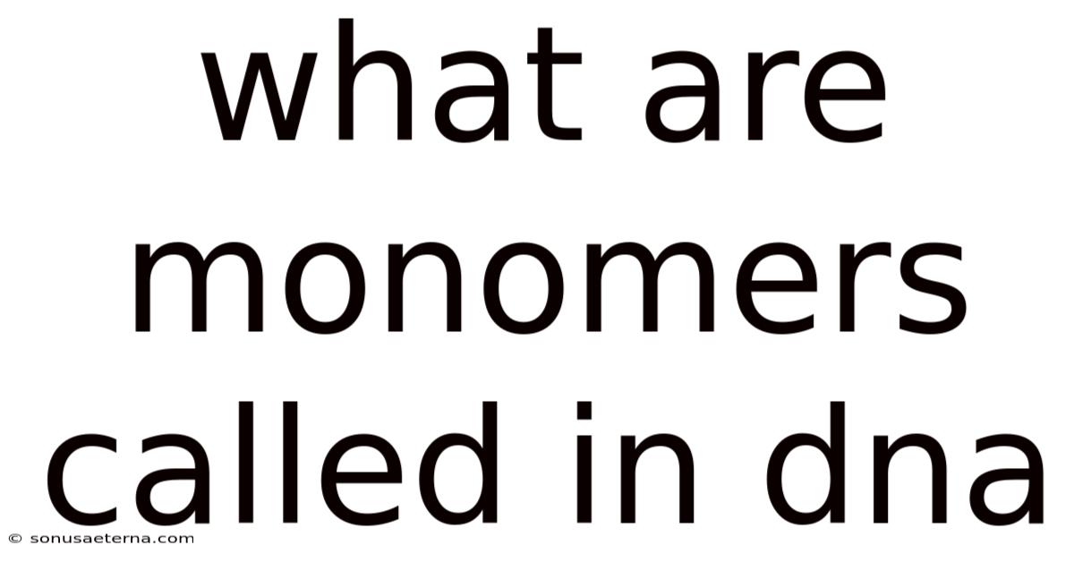 What Are Monomers Called In Dna
