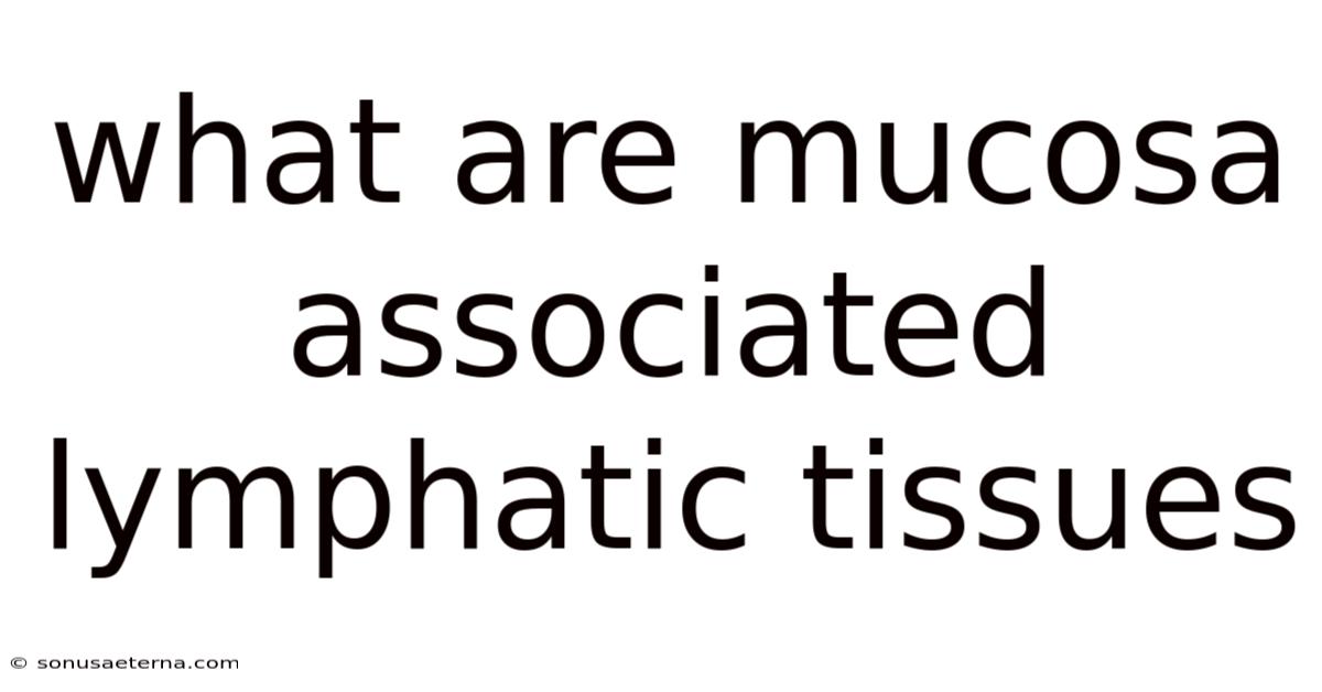 What Are Mucosa Associated Lymphatic Tissues
