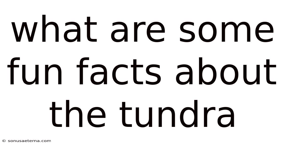 What Are Some Fun Facts About The Tundra