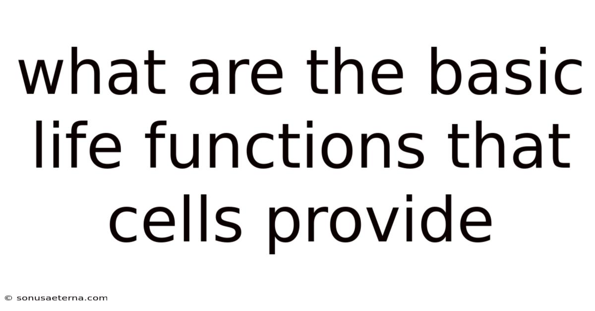 What Are The Basic Life Functions That Cells Provide
