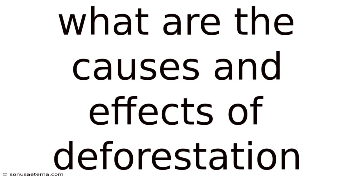 What Are The Causes And Effects Of Deforestation