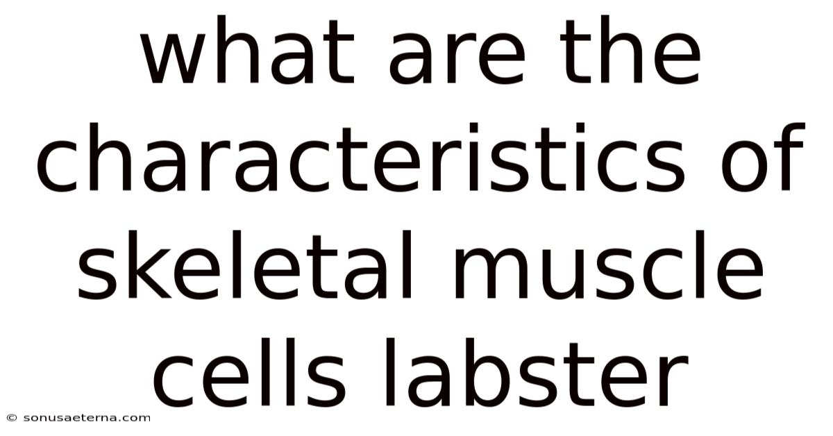What Are The Characteristics Of Skeletal Muscle Cells Labster
