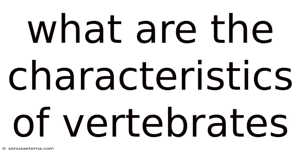 What Are The Characteristics Of Vertebrates