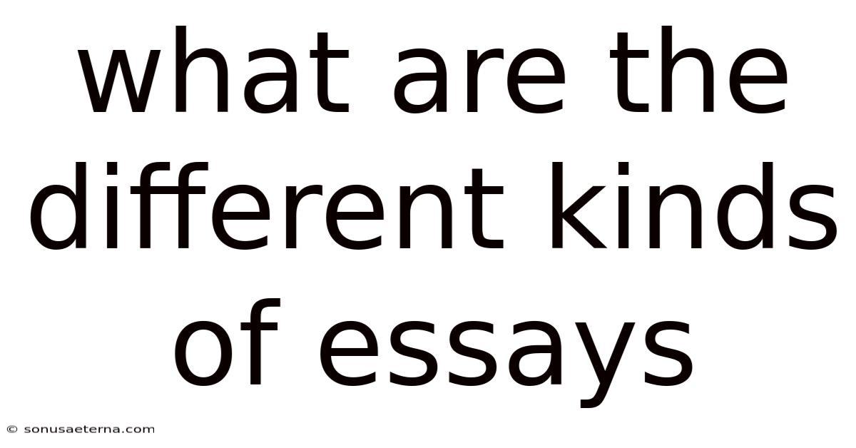 What Are The Different Kinds Of Essays