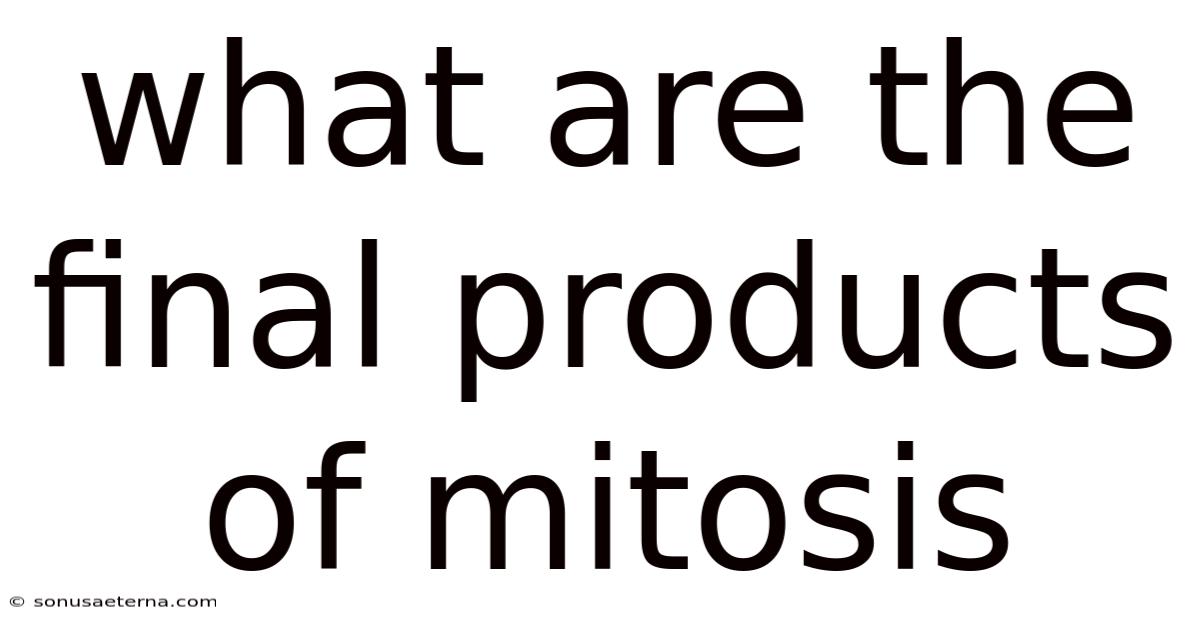 What Are The Final Products Of Mitosis