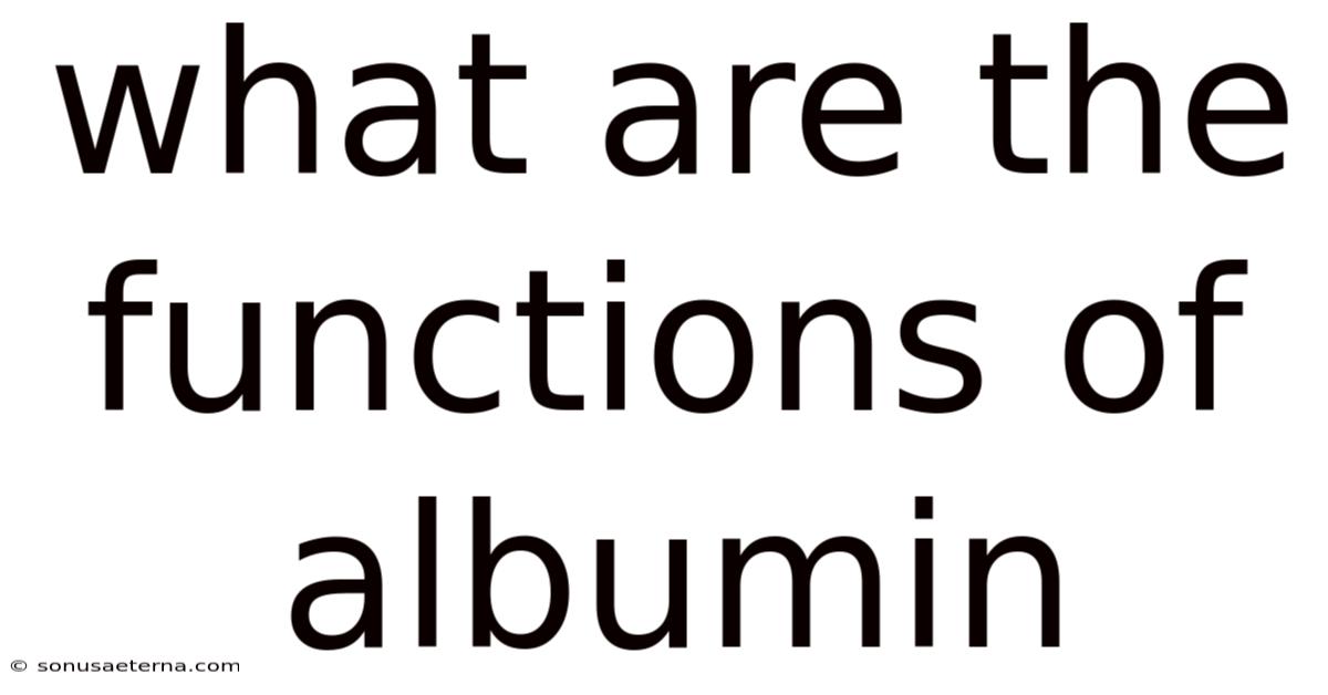 What Are The Functions Of Albumin