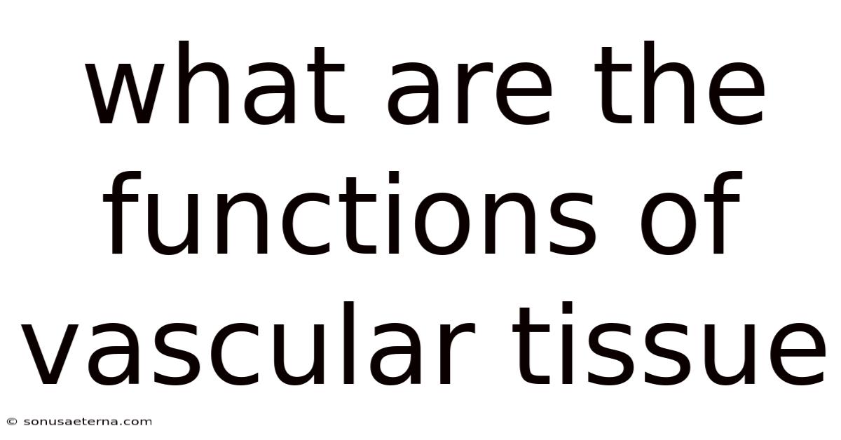 What Are The Functions Of Vascular Tissue