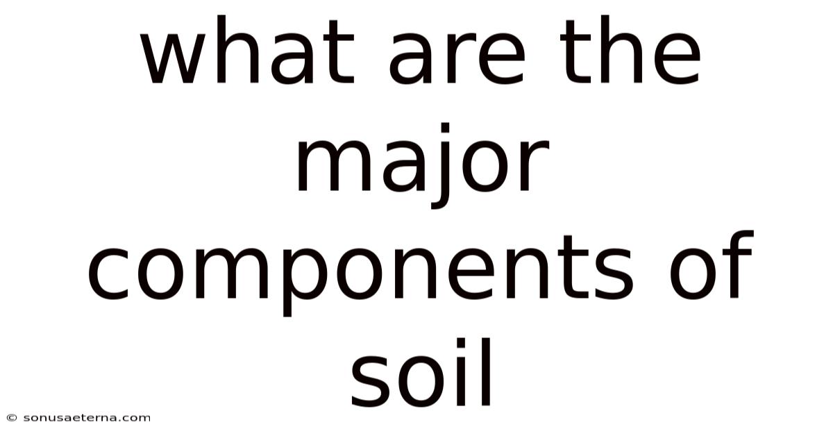 What Are The Major Components Of Soil
