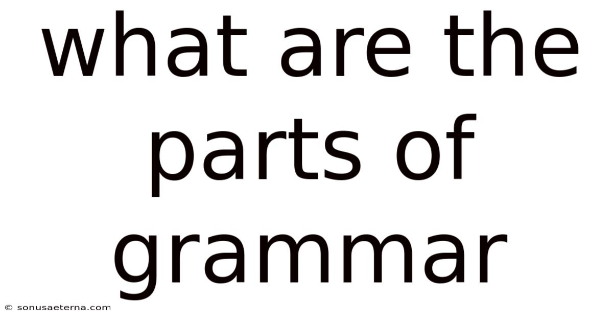 What Are The Parts Of Grammar