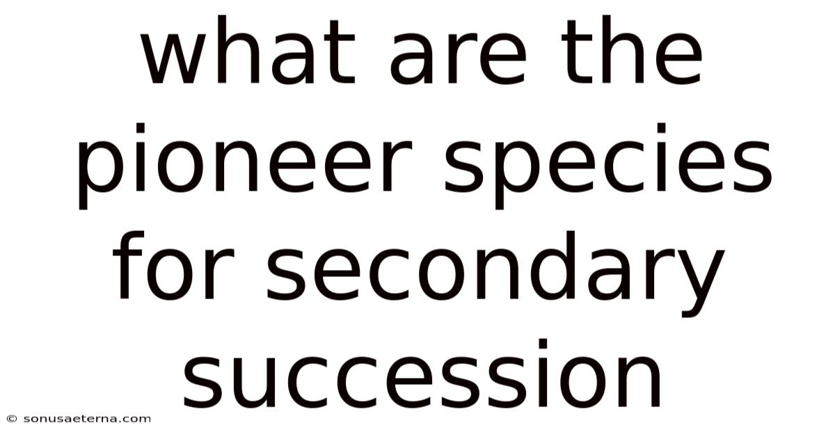 What Are The Pioneer Species For Secondary Succession