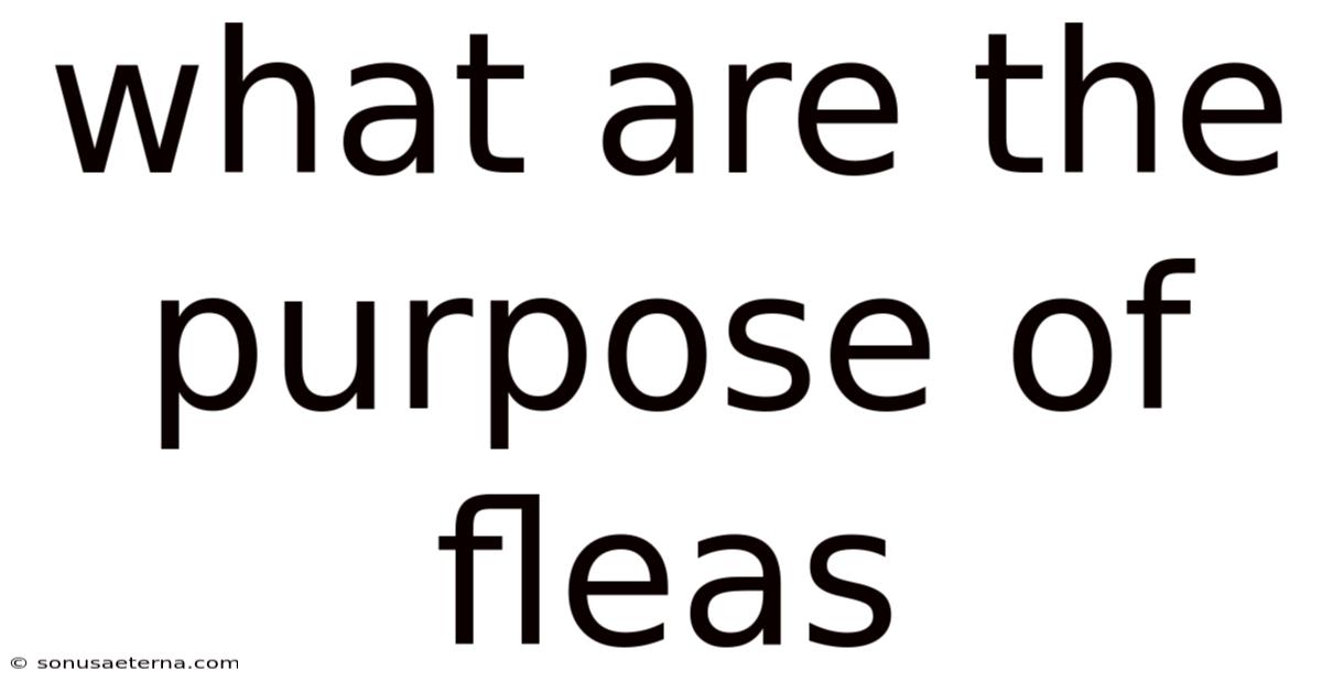 What Are The Purpose Of Fleas