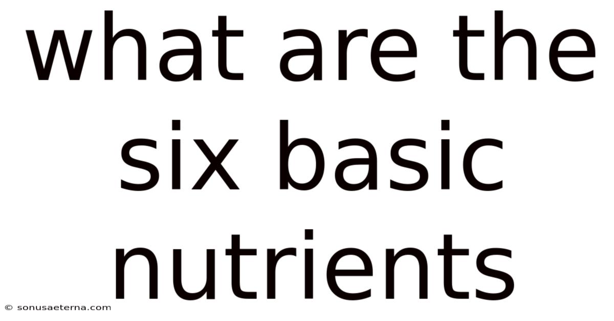 What Are The Six Basic Nutrients