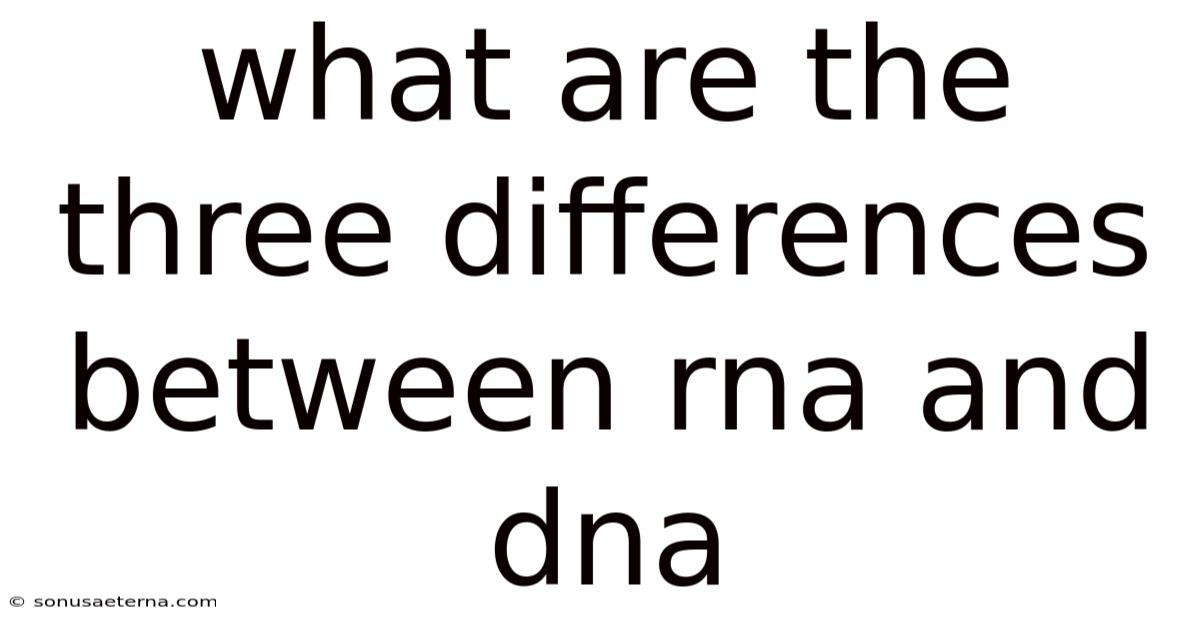 What Are The Three Differences Between Rna And Dna