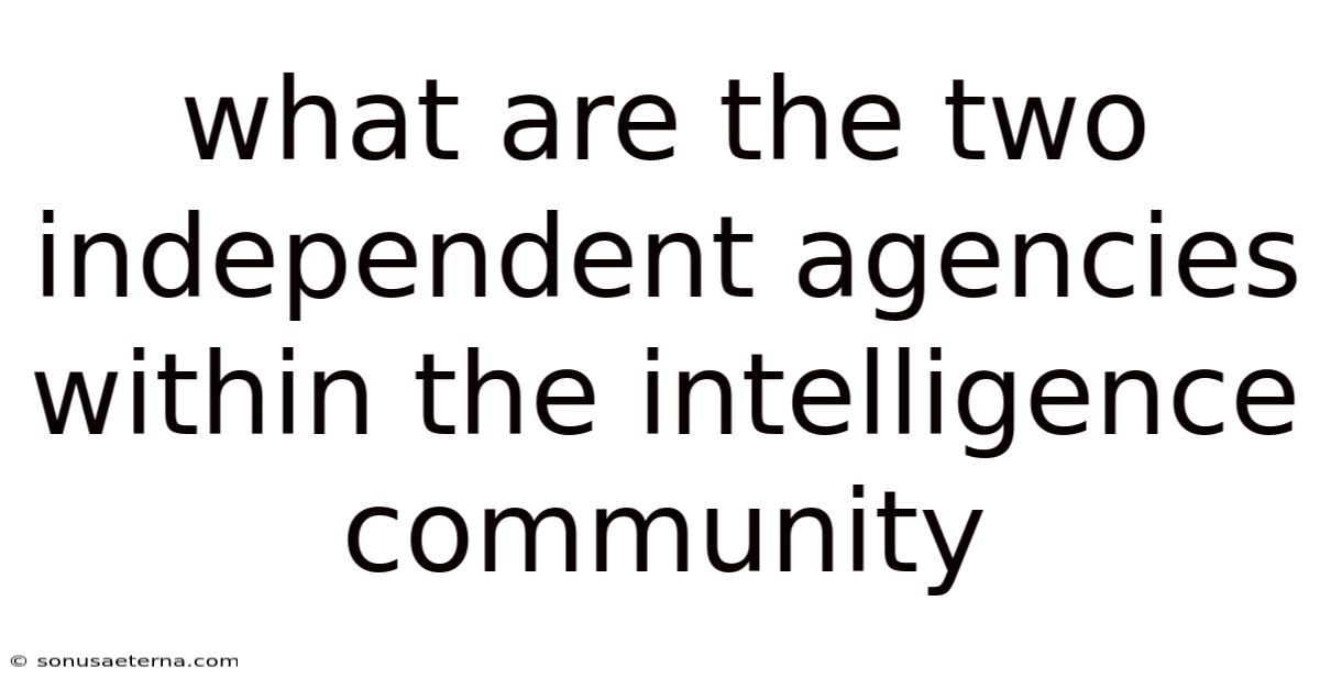 What Are The Two Independent Agencies Within The Intelligence Community