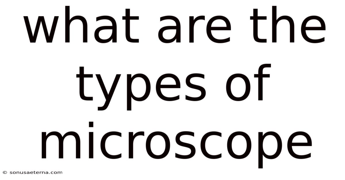 What Are The Types Of Microscope