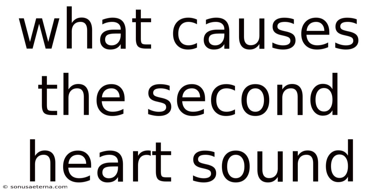 What Causes The Second Heart Sound
