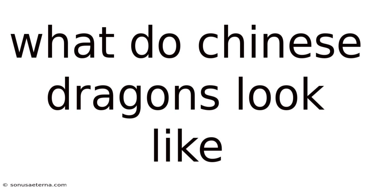 What Do Chinese Dragons Look Like