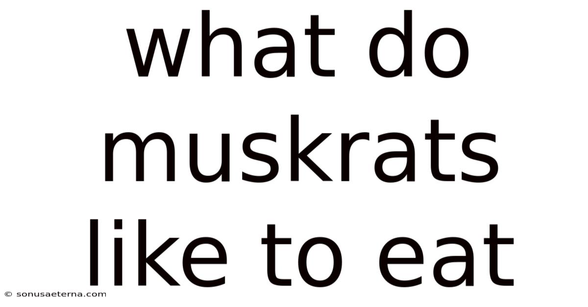 What Do Muskrats Like To Eat
