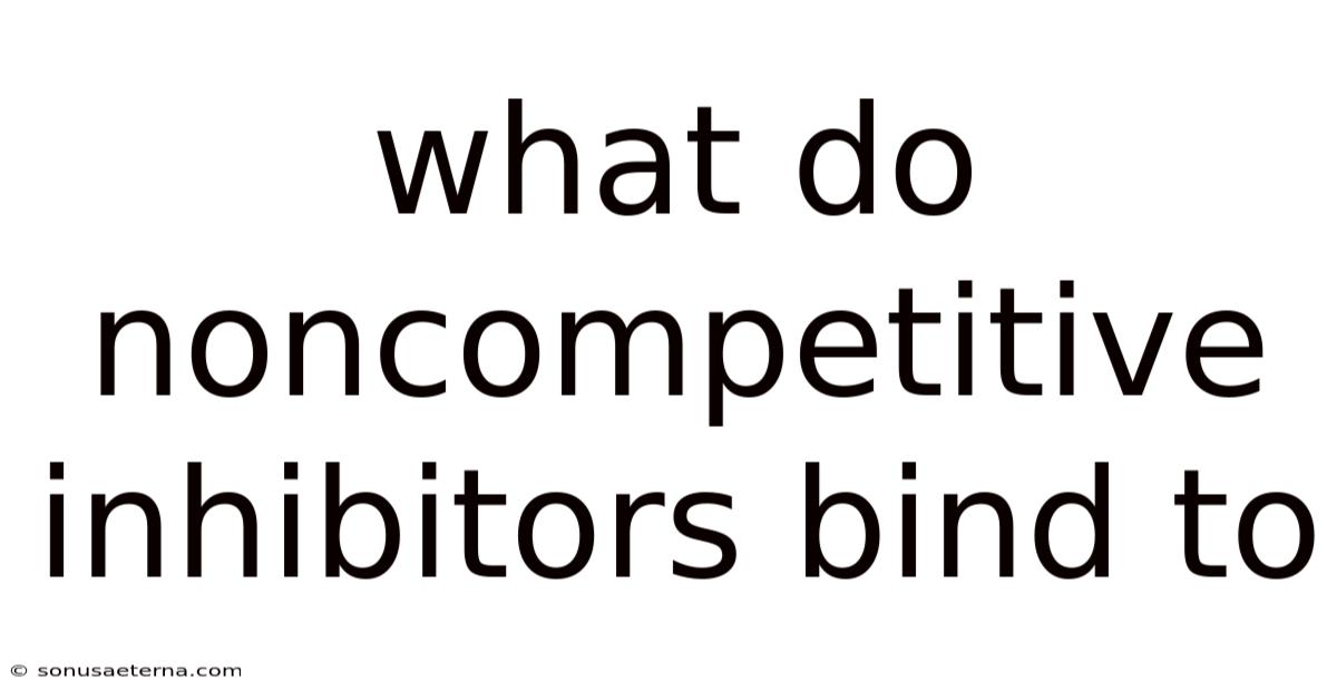 What Do Noncompetitive Inhibitors Bind To