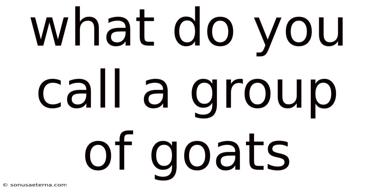 What Do You Call A Group Of Goats
