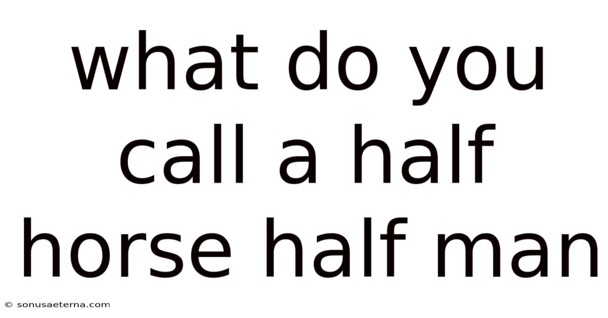 What Do You Call A Half Horse Half Man