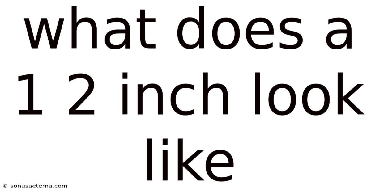 What Does A 1 2 Inch Look Like