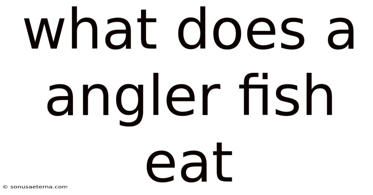What Does A Angler Fish Eat