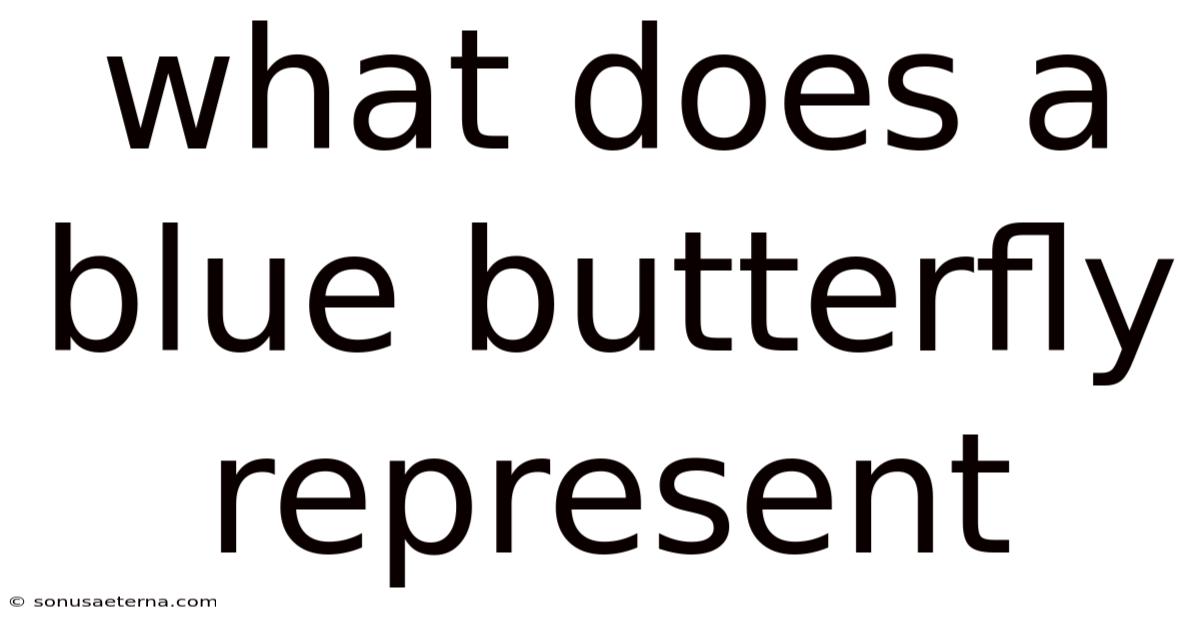 What Does A Blue Butterfly Represent