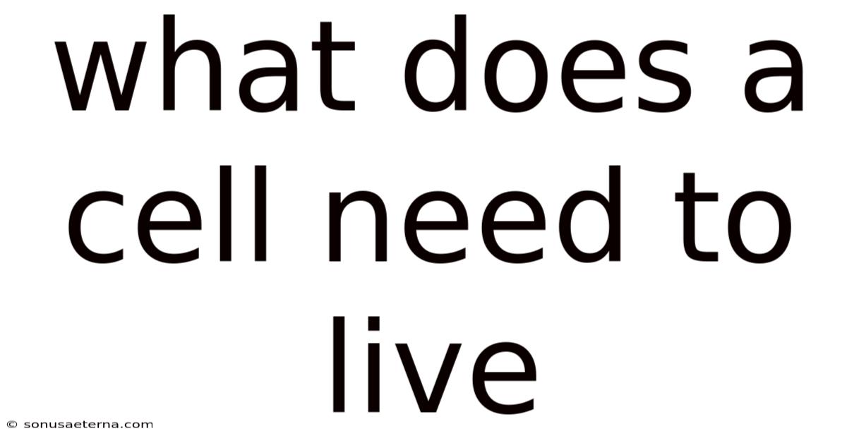 What Does A Cell Need To Live