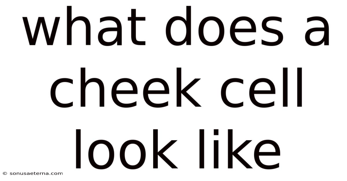 What Does A Cheek Cell Look Like