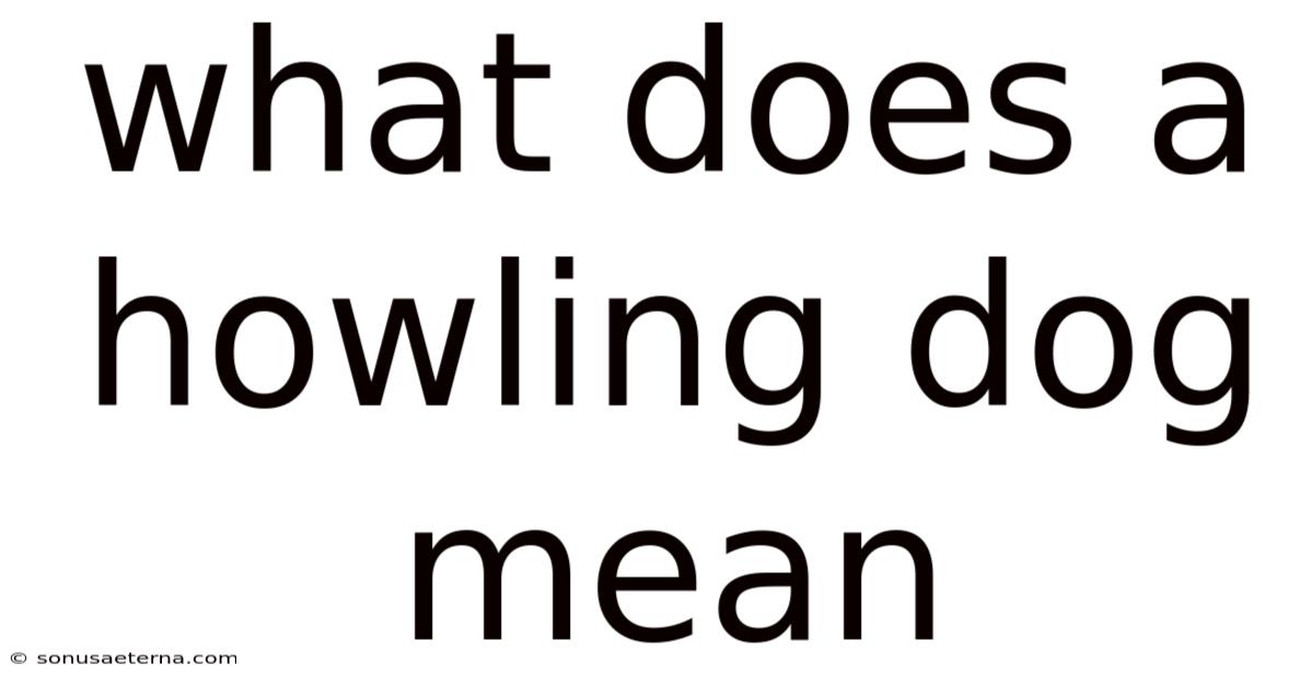 What Does A Howling Dog Mean