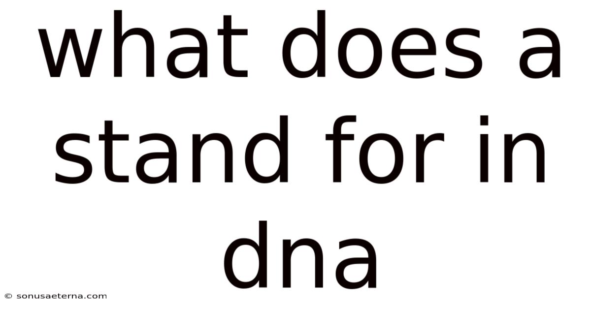 What Does A Stand For In Dna