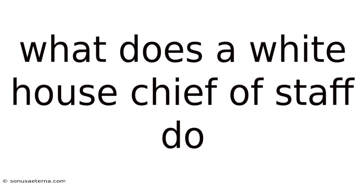 What Does A White House Chief Of Staff Do