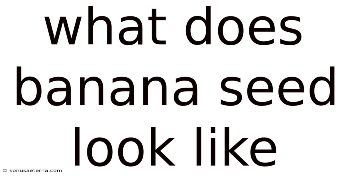 What Does Banana Seed Look Like