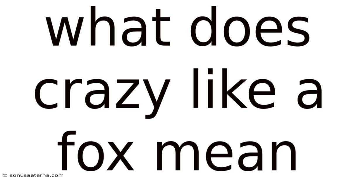 What Does Crazy Like A Fox Mean