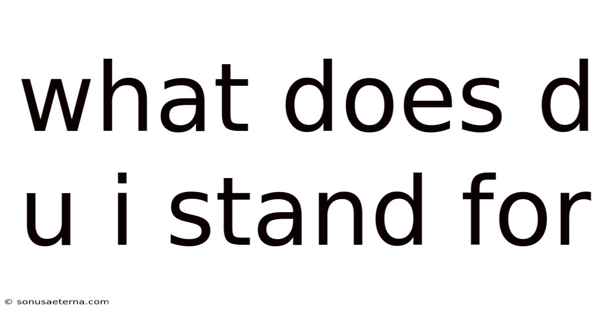 What Does D U I Stand For