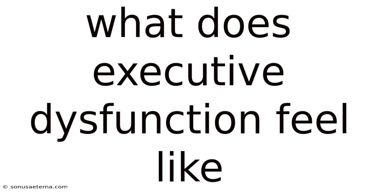 What Does Executive Dysfunction Feel Like