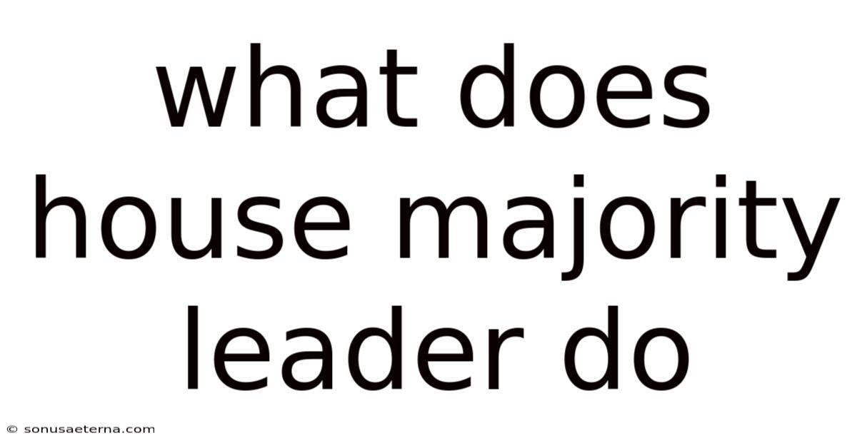 What Does House Majority Leader Do