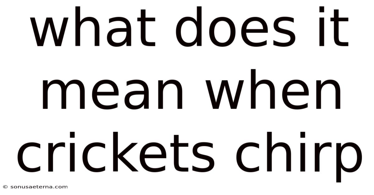 What Does It Mean When Crickets Chirp