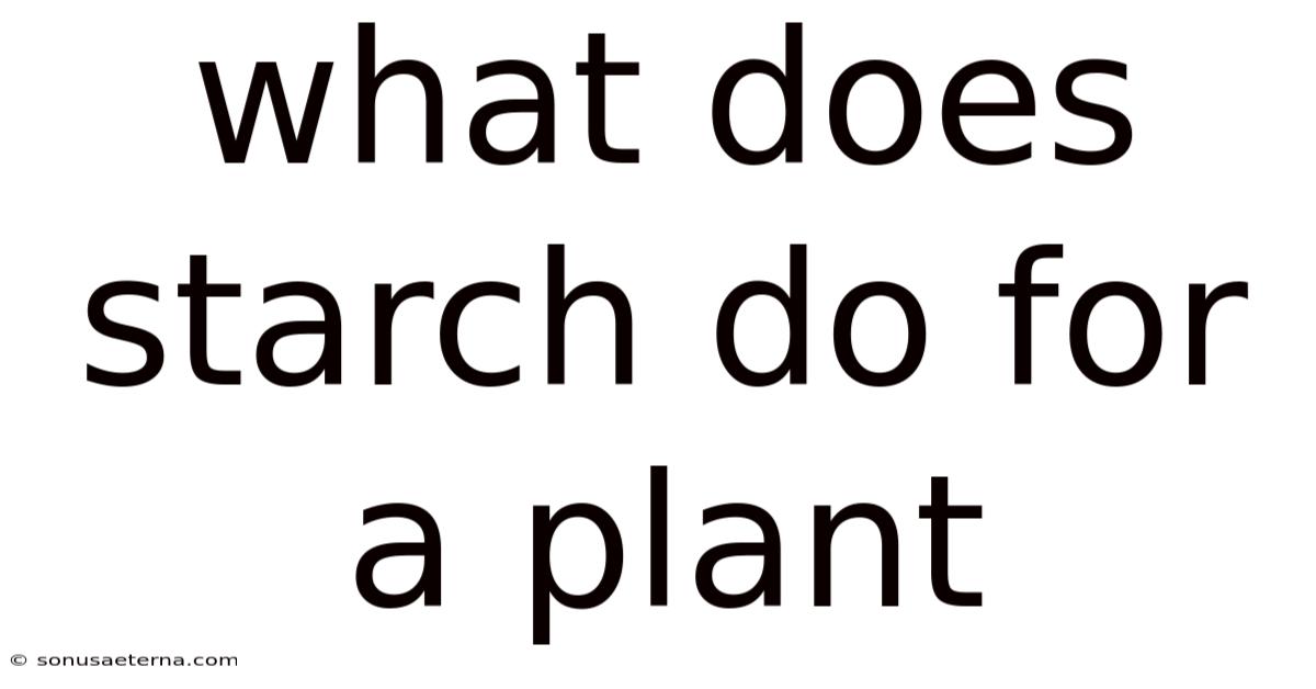 What Does Starch Do For A Plant